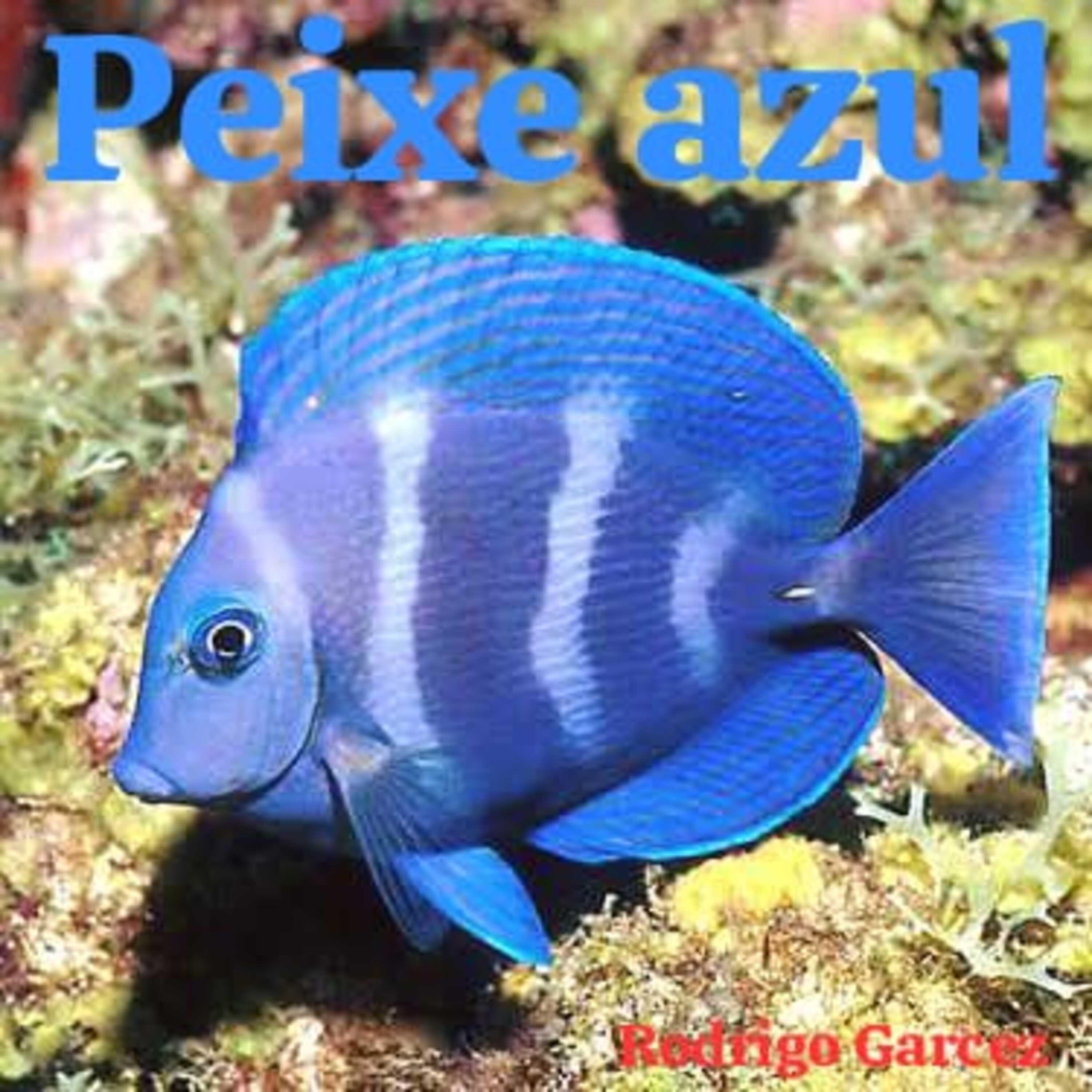 Peixe azul