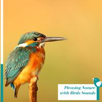 Pleasing Nature with Birds Sounds