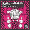 Dillon Nathaniel - Shake Down (Extended Mix)