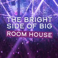 The Bright Side of Big Room House