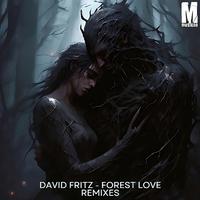 Forest Love (V77NNY Remix)