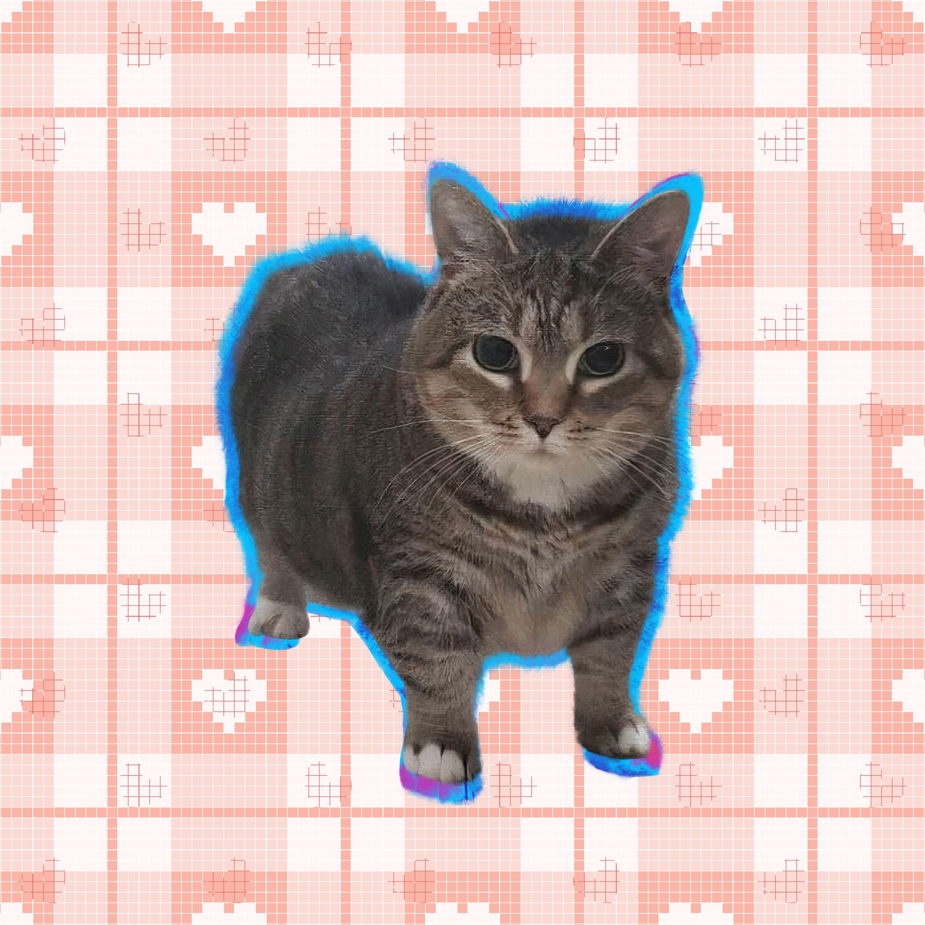 Renai Circulation Oiia