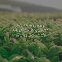 50 Relaxing Music Ambient Rain Sounds