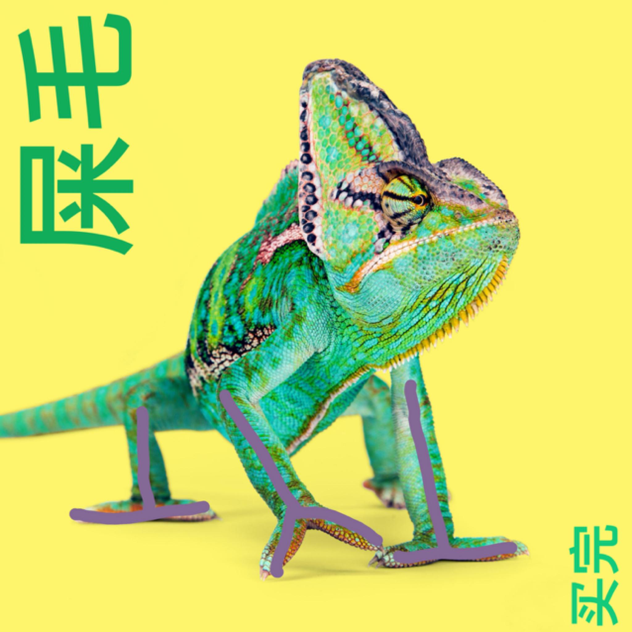 分形a曼德博001用户