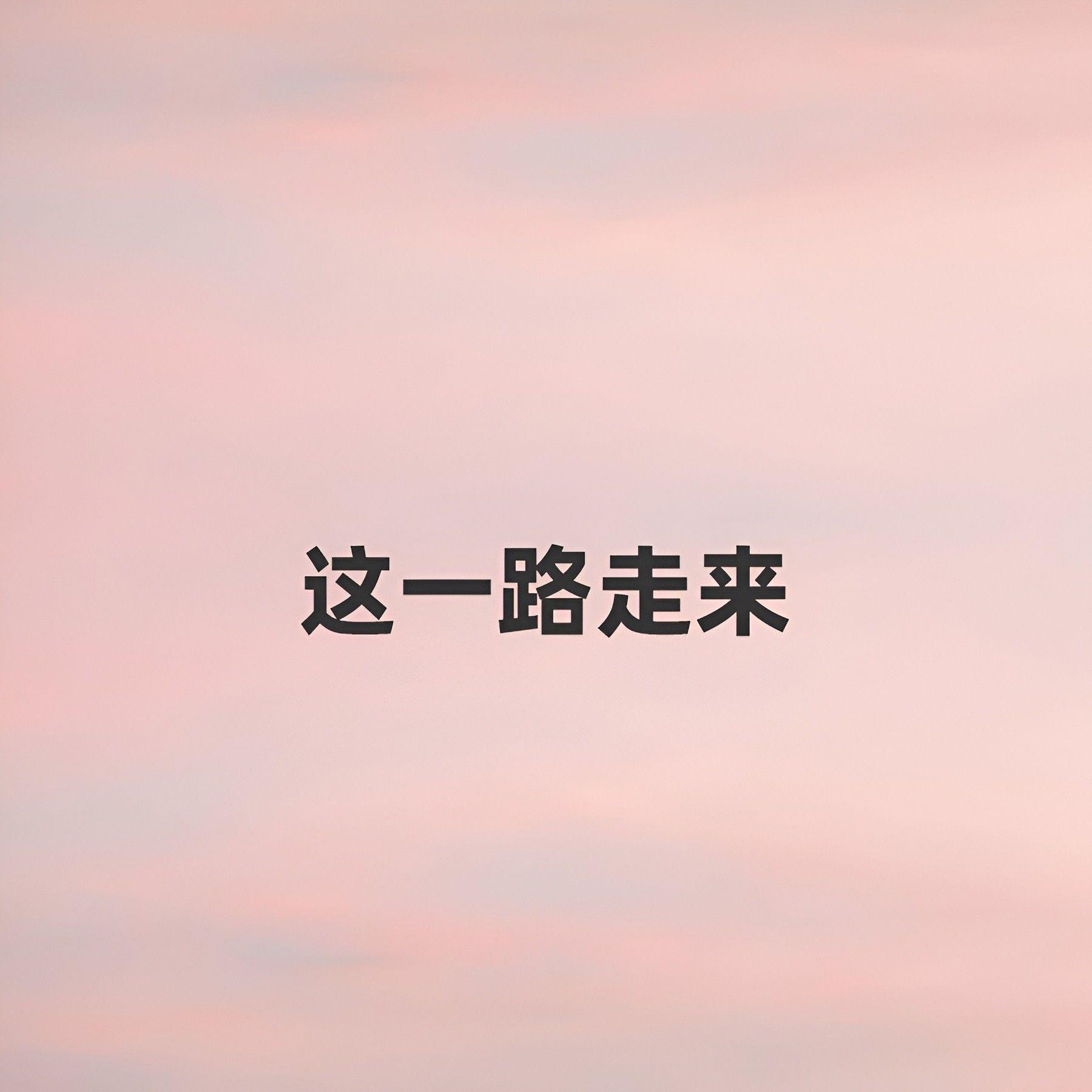 这一路走来封面