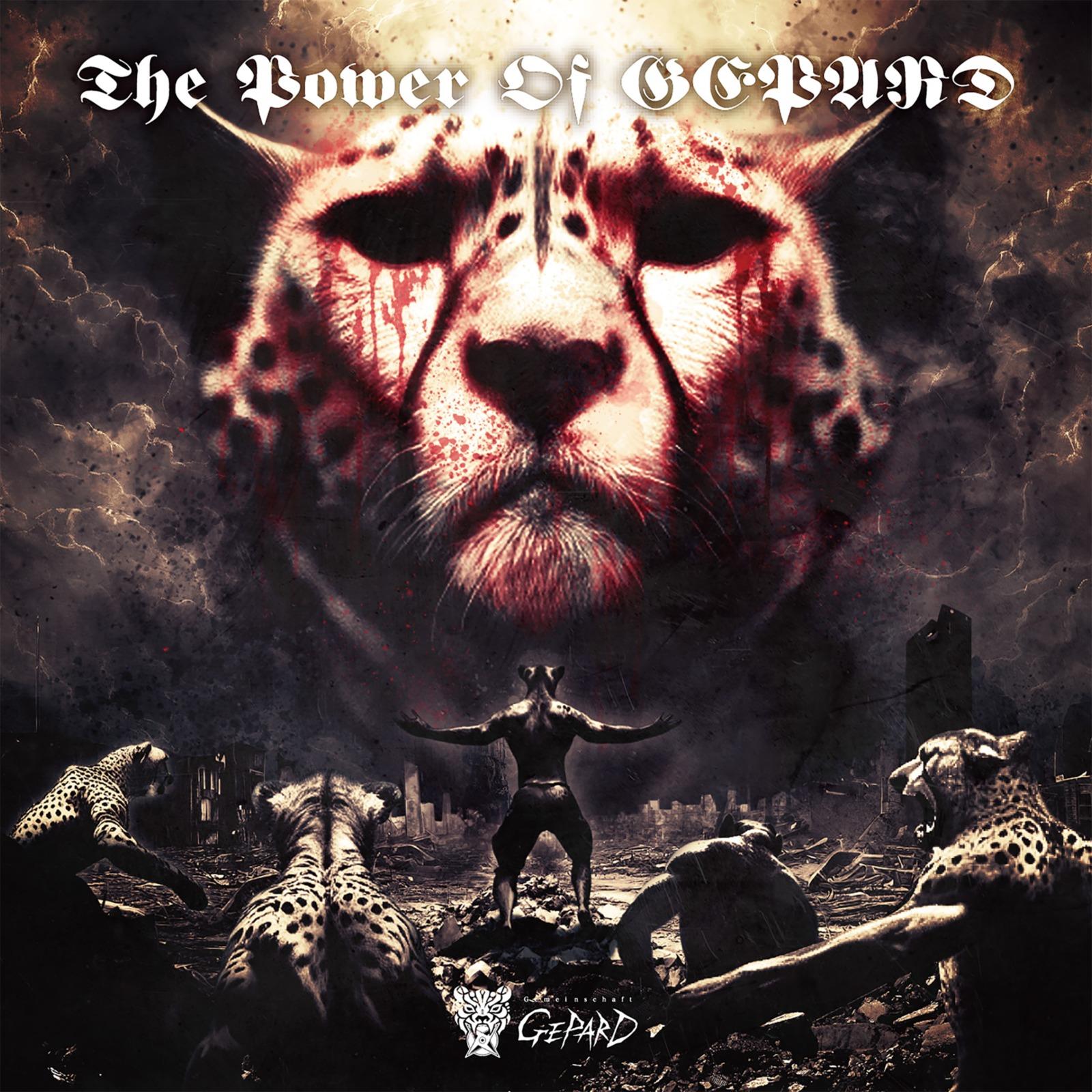 BRUTE (Berserkers' Redemption Under The Enthusiasm)