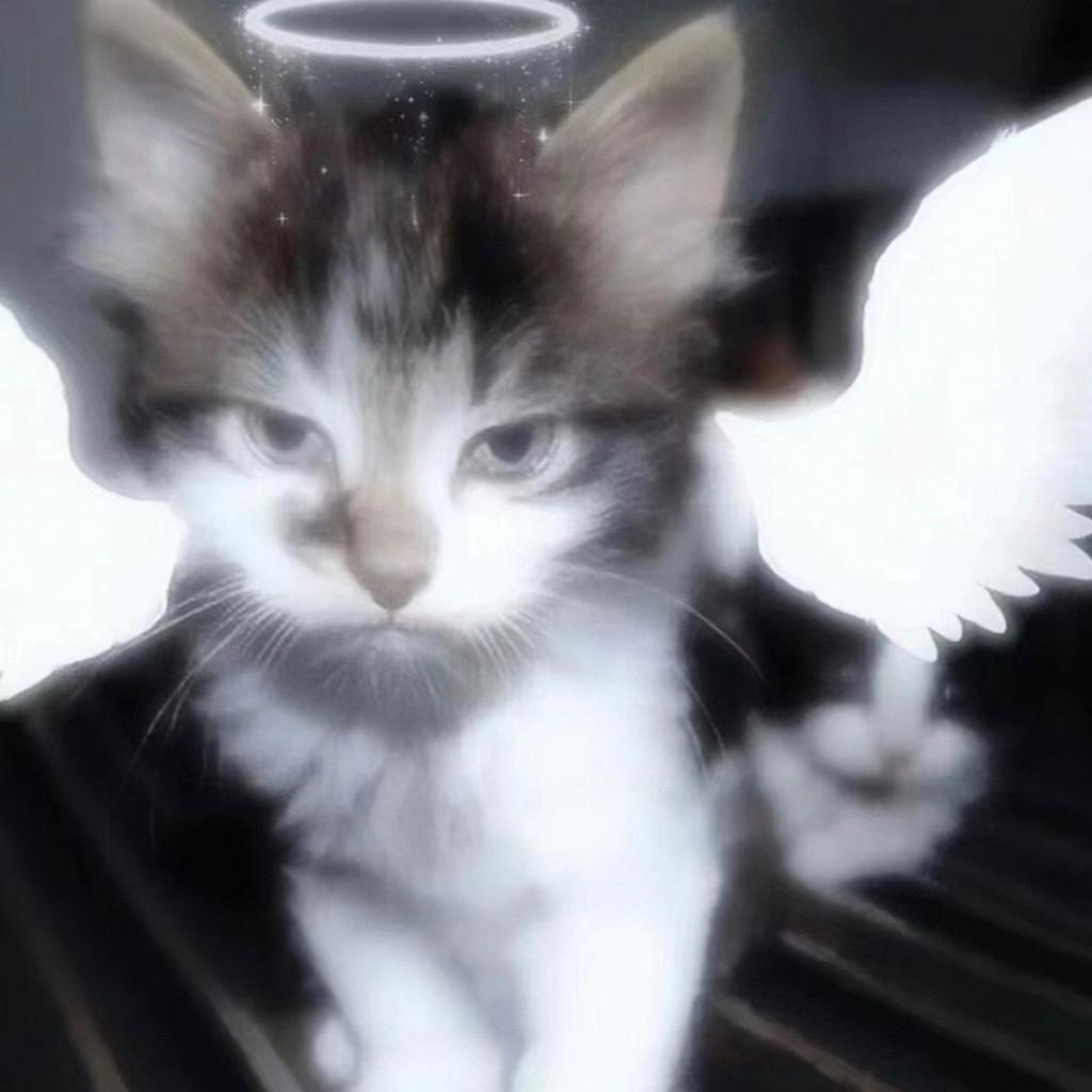 「或许你是青春物语里的伤物语」