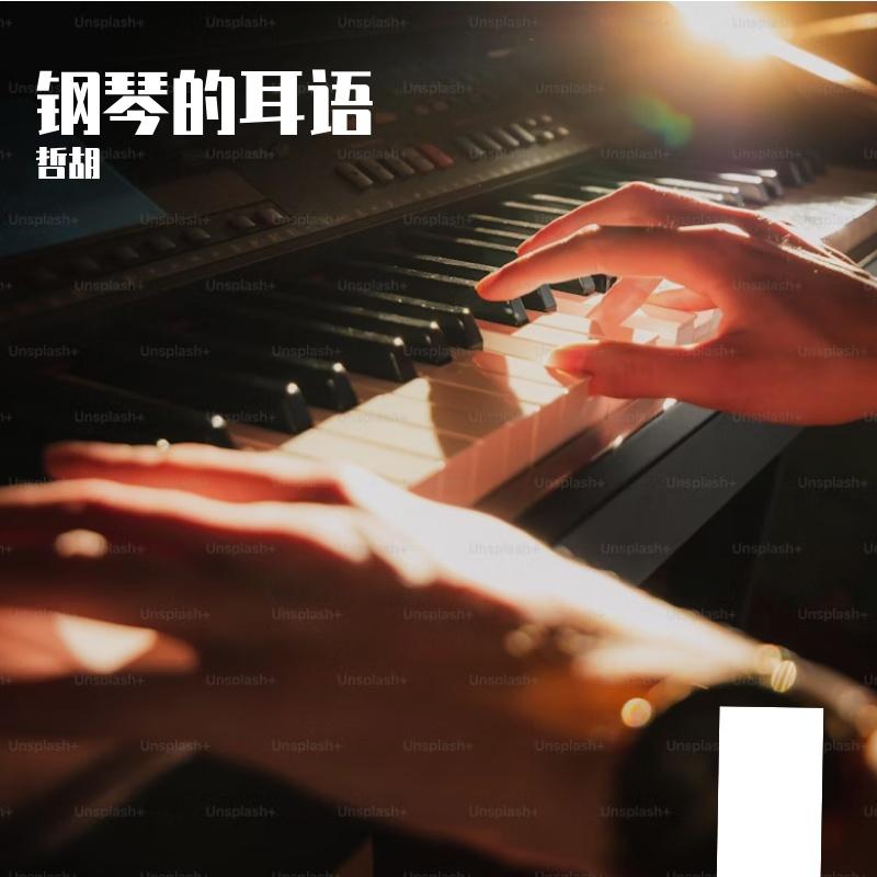 黑白人生封面