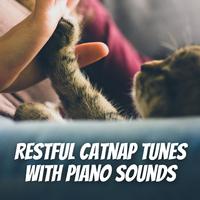 Restful Catnap Tunes with Piano Sounds