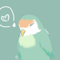 luvbird