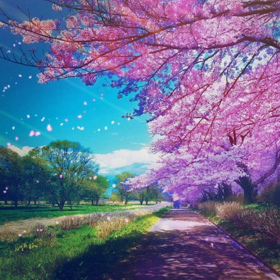 突然遇见封面