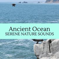 Ancient Ocean - Serene Nature Sounds