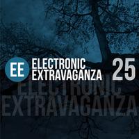 Electronic Extravaganza, Vol. 25