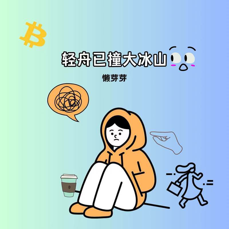 轻舟已撞大冰山封面
