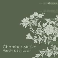 Chamber Music: Haydn & Schubert