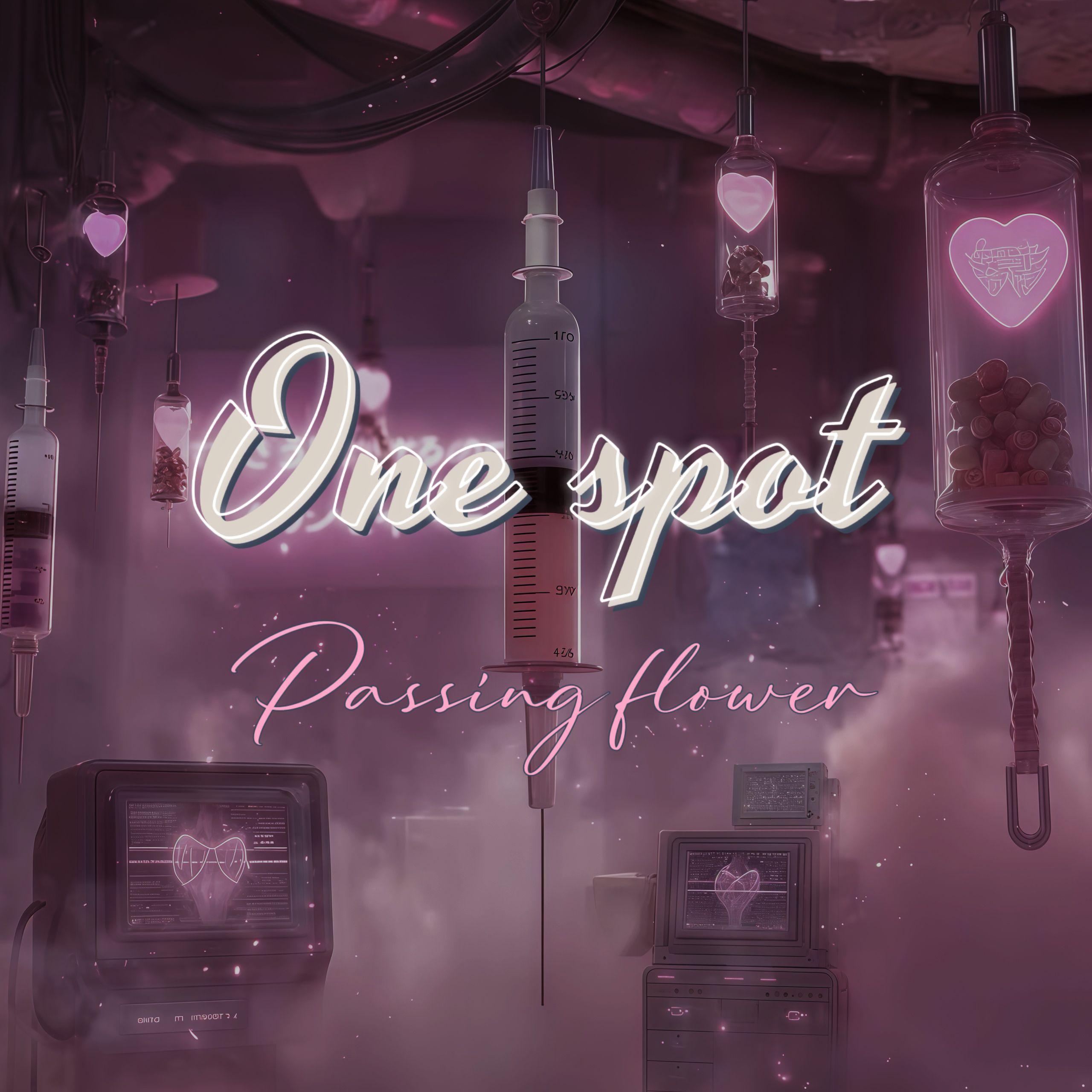 One Spot（翻自沈佳润）封面