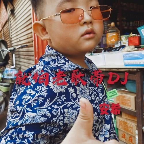 万水千山总是情 (DJ版)封面