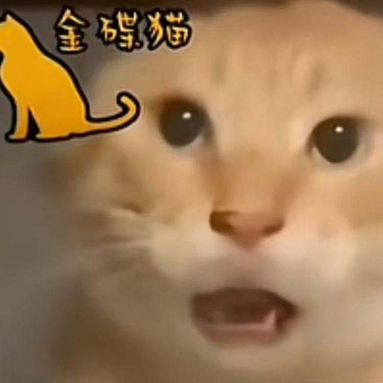 粉红色的回忆(哈基米版)