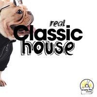 Real Classic House