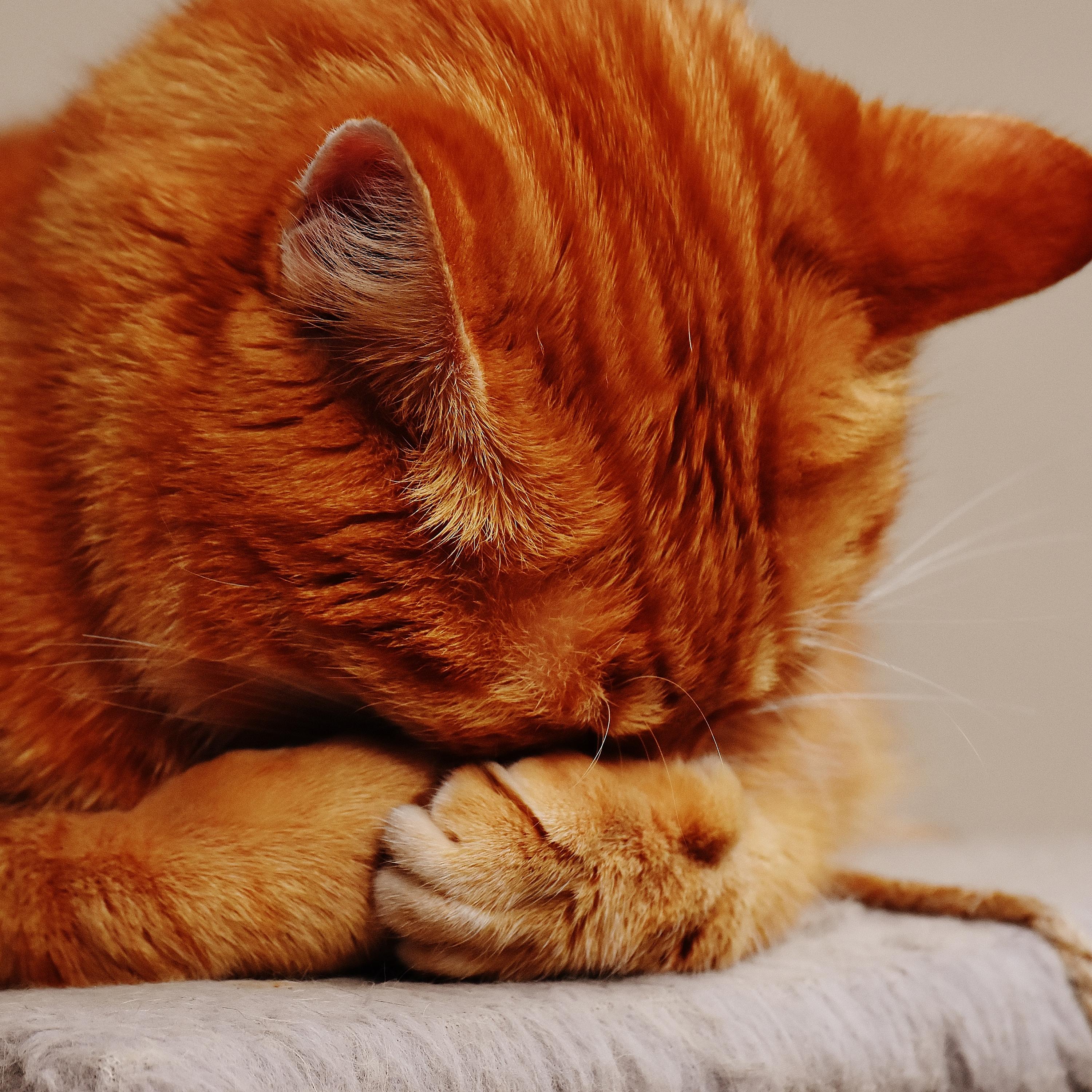 Las Estrellas De Arriba