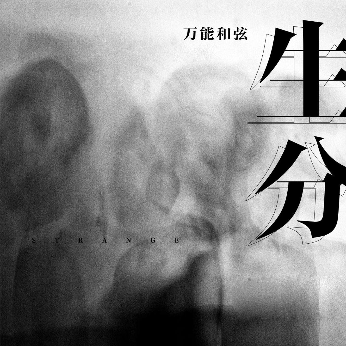 生分 (伴奏) - 万能和弦封面