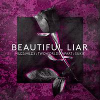 Beautiful Liar