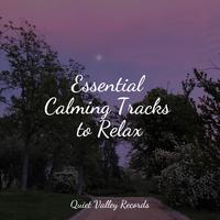 Essential Calming Tracks to Relax