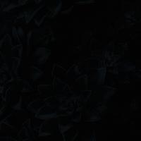 Vusx资料,Vusx最新歌曲,VusxMV视频,Vusx音乐专辑,Vusx好听的歌