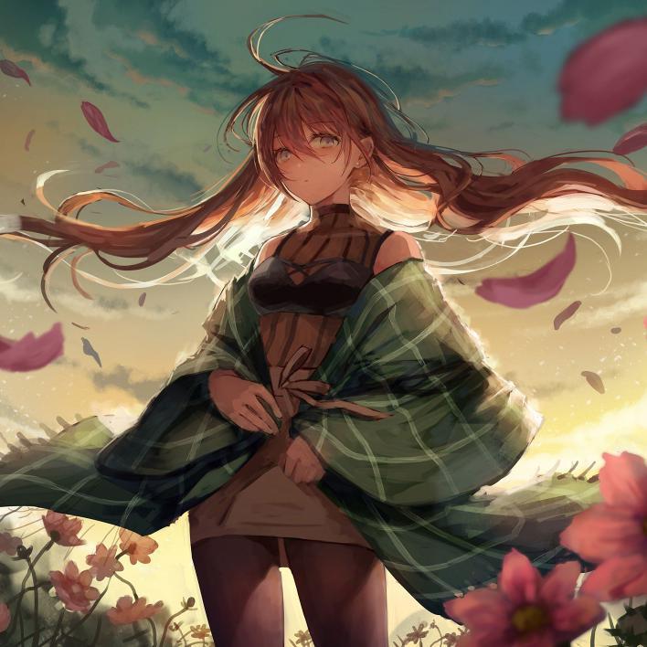 Echoes from wilderness