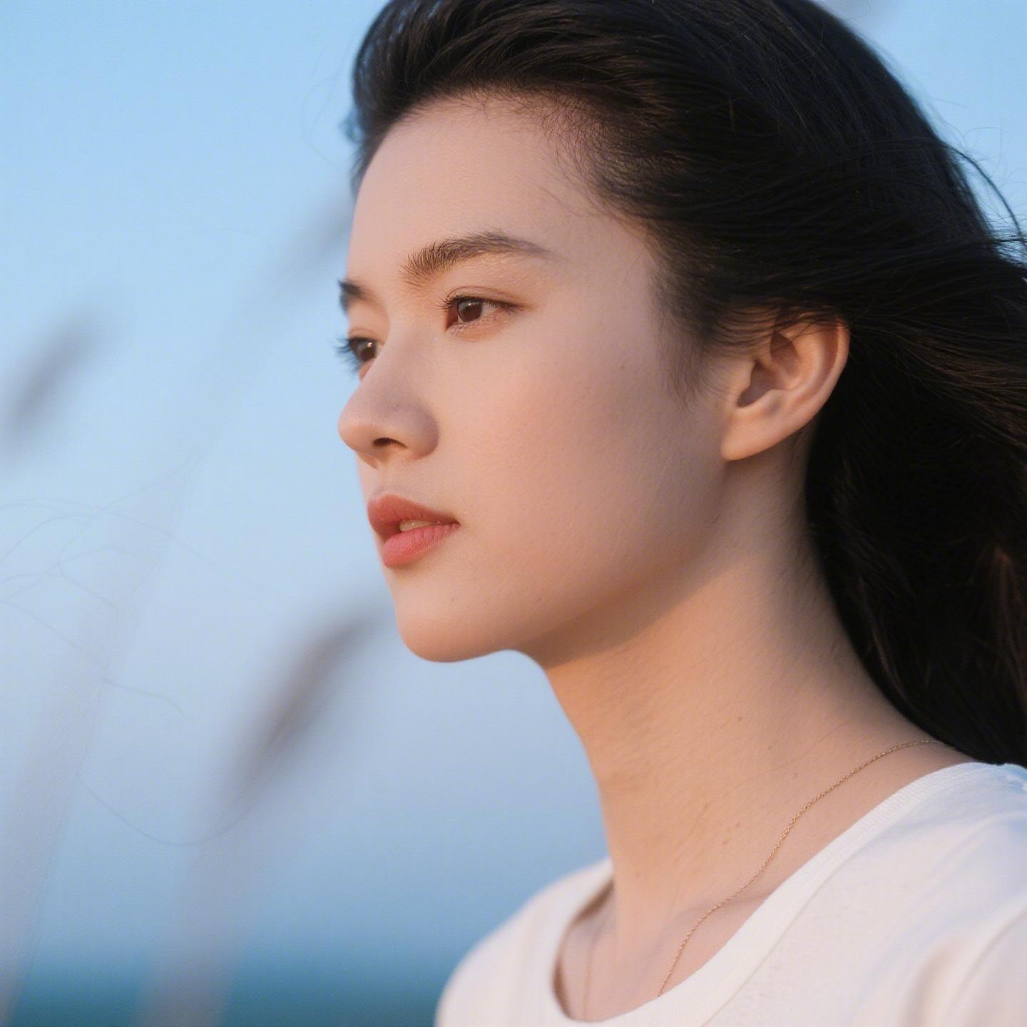 向光而行封面