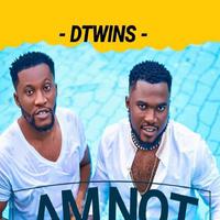 Dtwins