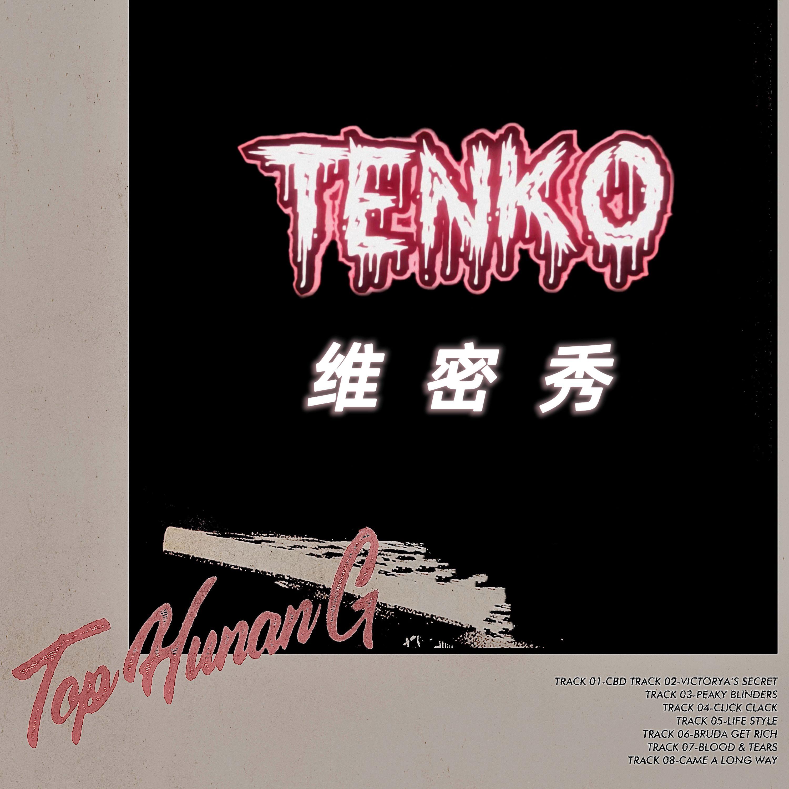 泰格西-维密秀（TENKO Bootleg）封面