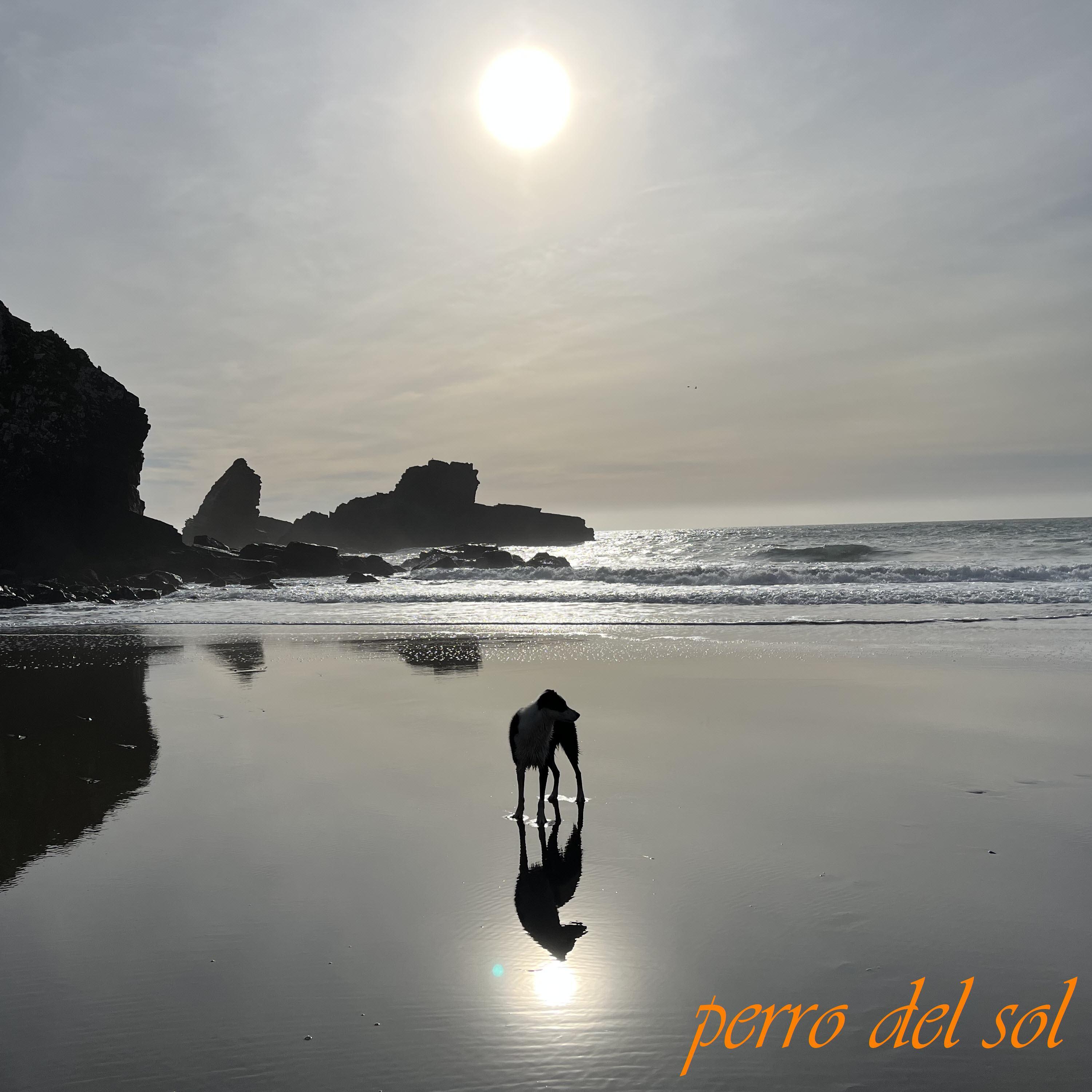 Flex Wave (feat. Uncle Sun, Snarfhund & Collie Shepherd)