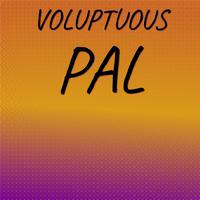 Voluptuous Pal