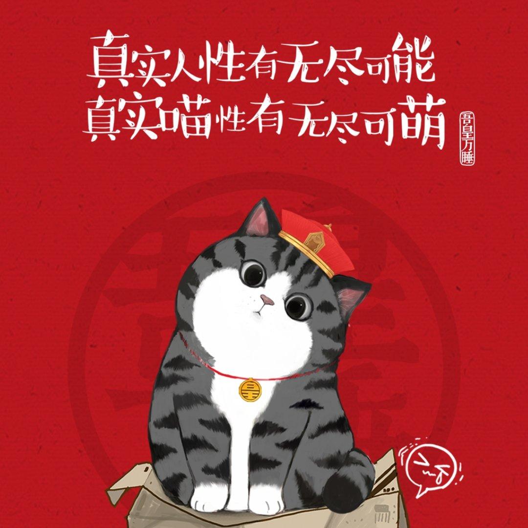斑马斑马(Cover 宋冬野)封面
