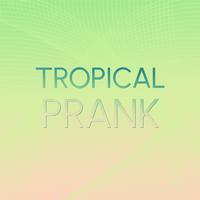 Tropical Prank