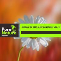 A Magic of Deep Sleep in Nature, Vol. 2