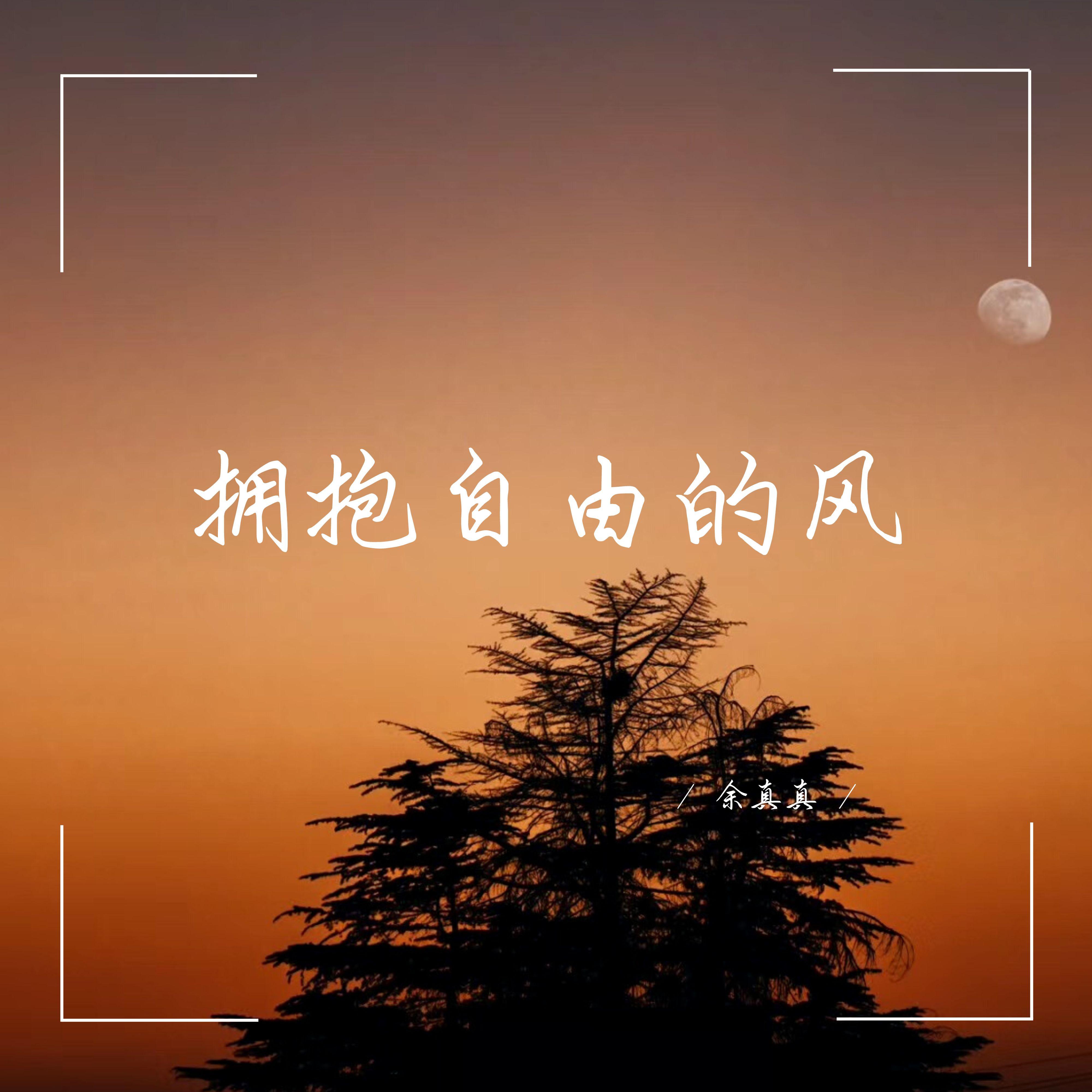 拥抱自由的风封面