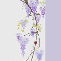 一颗草莓糖li
