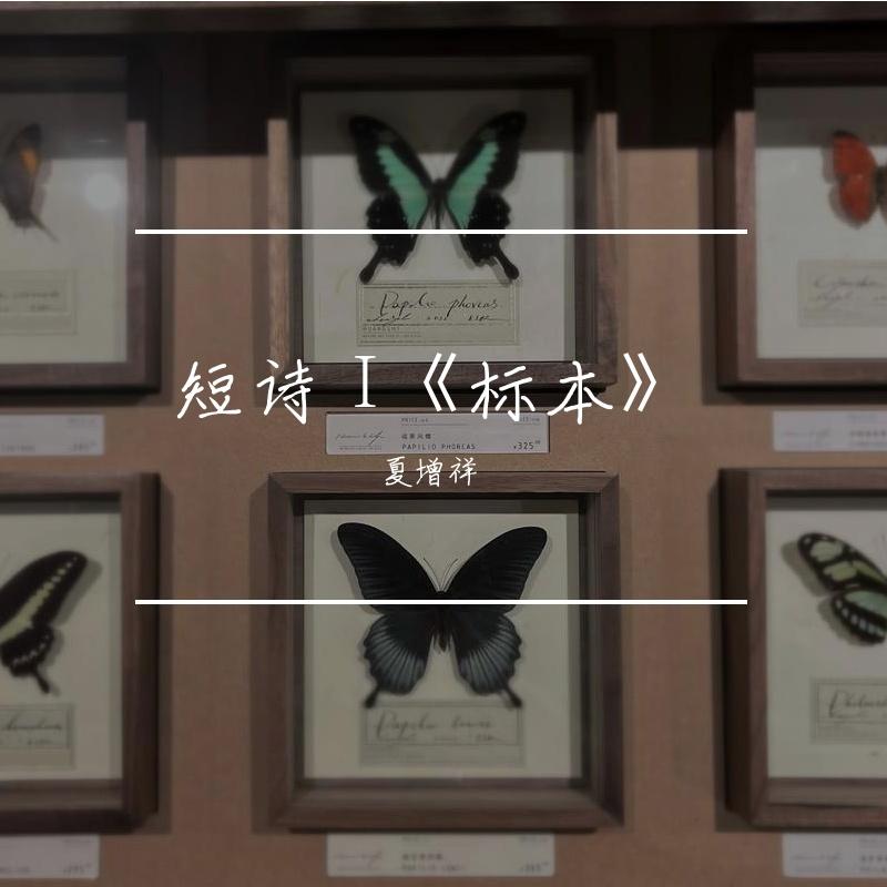 标本_夏增祥_短诗 I | 在线播放_标本歌词_标本下载 | 网易云音乐