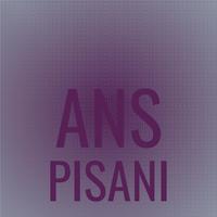 Ans Pisani