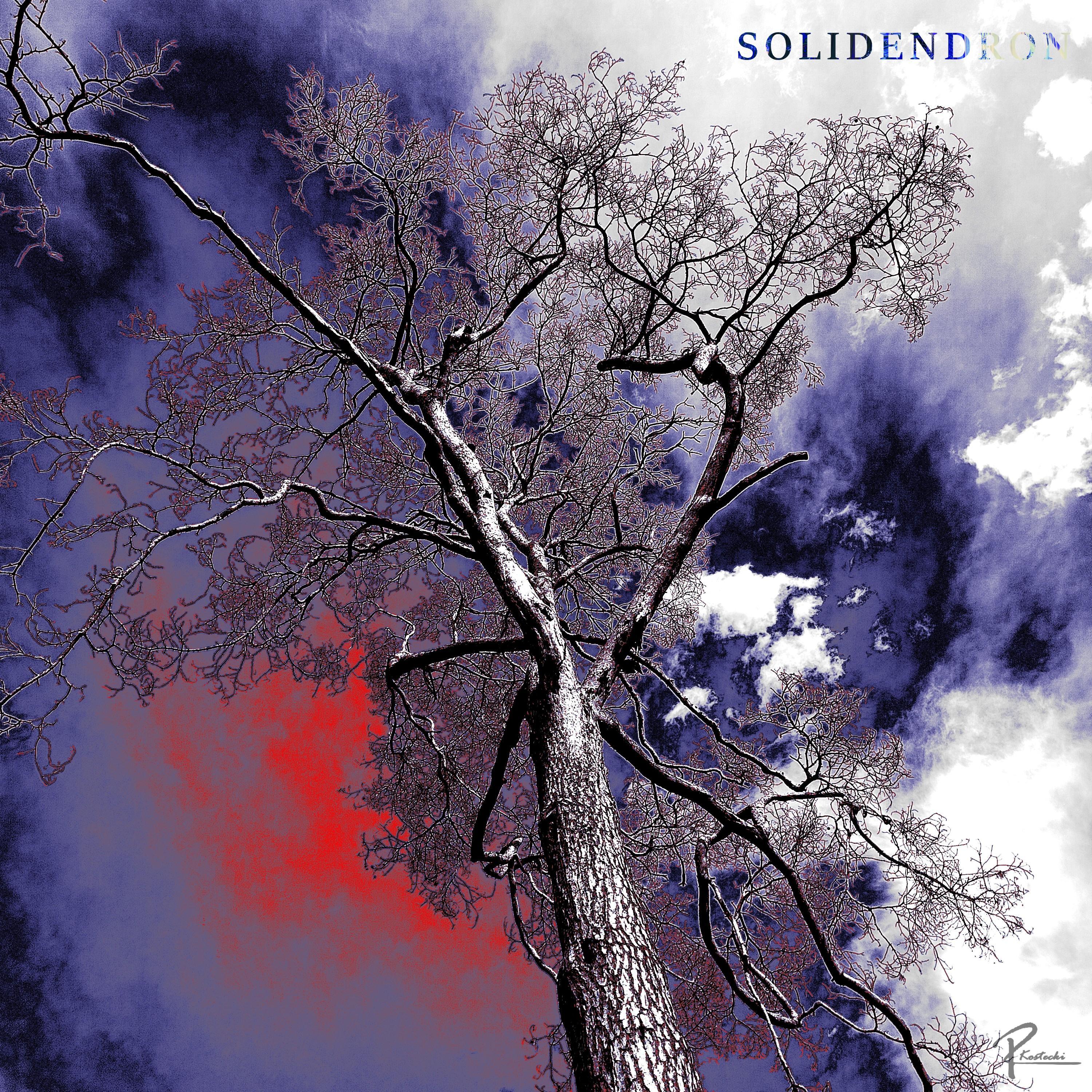 Solidendron - op. 1795a