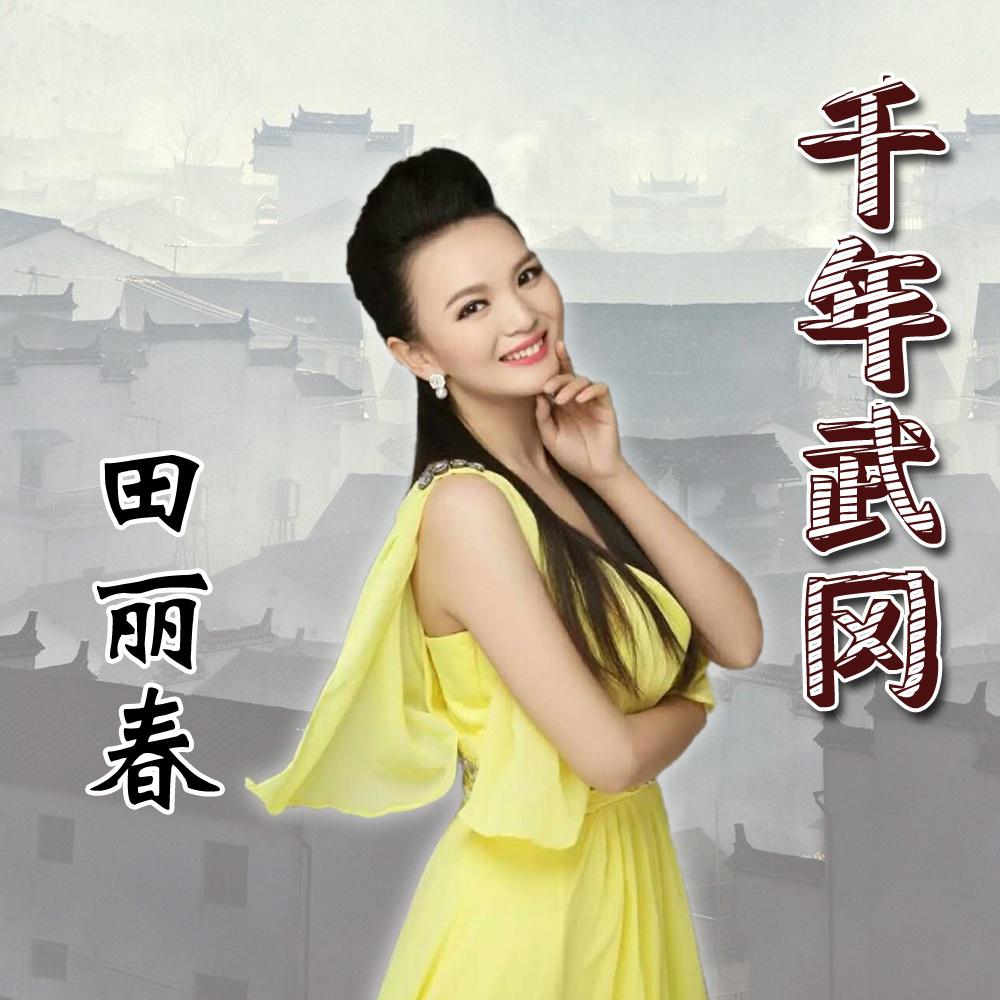 千年武冈 - 田丽春 - 单曲 - 网易云音乐