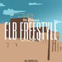 FLB FREESTYLE