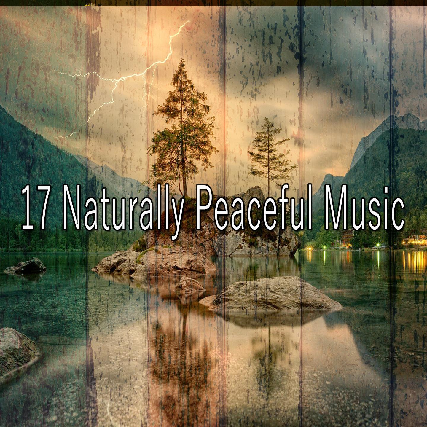 寧靜的音樂天籟之音；療愈瑜伽冥想音樂伴侶