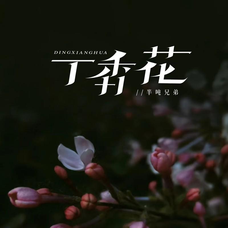 丁香花 (DJ版伴奏) - 半吨兄弟封面