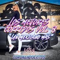 Los Mejores Corridos, Vol. 8 (