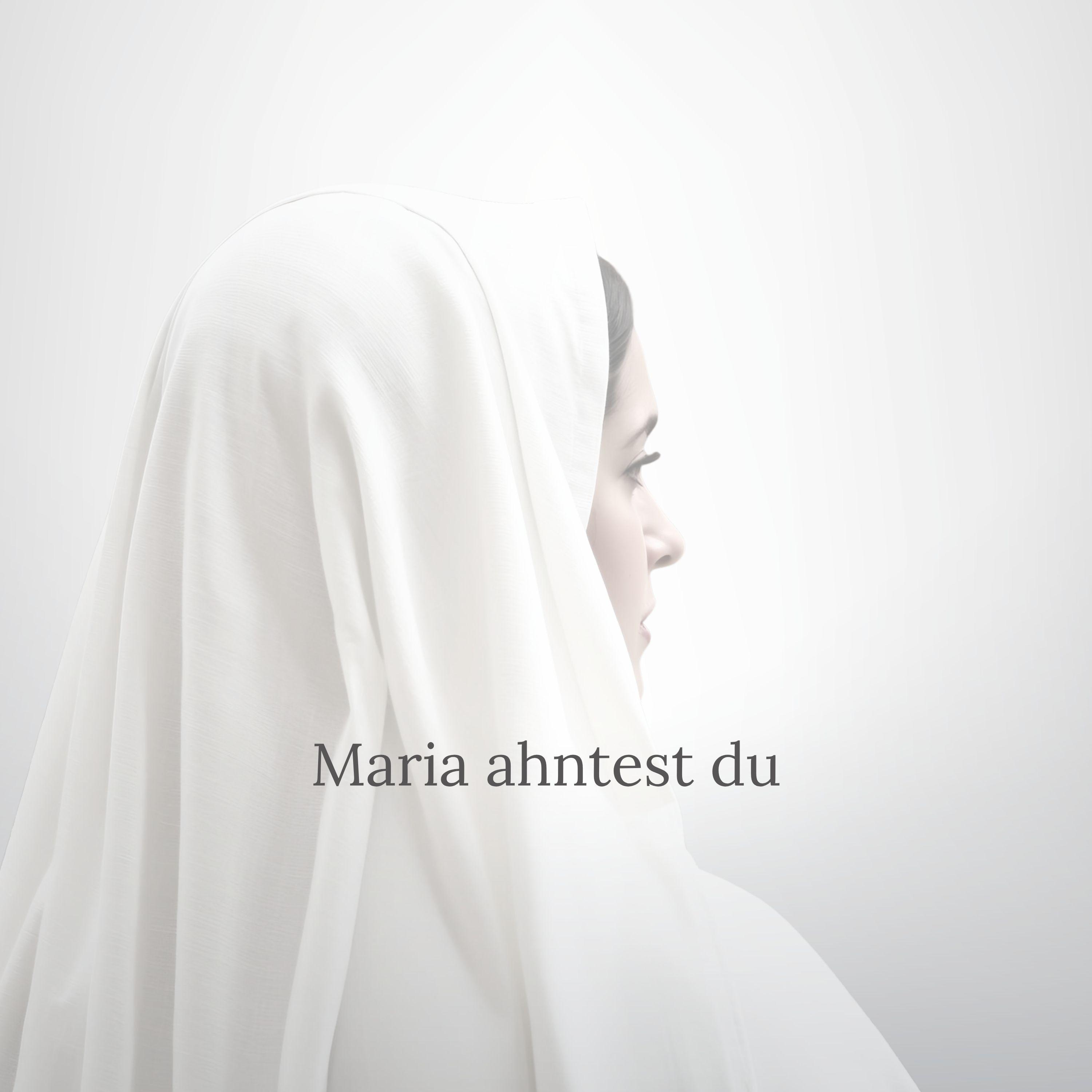 Maria ahntest du (Live)
