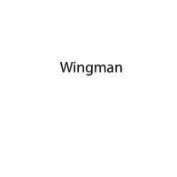 Wingstrumentals, Vol. 3