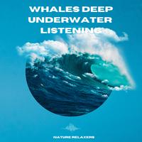 Whales Deep Underwater Listening